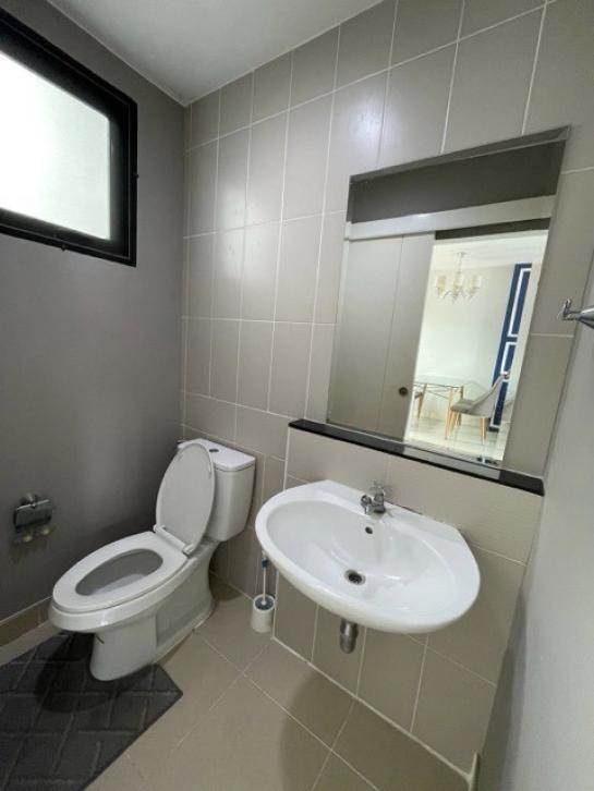 ��ǹ���������� ������