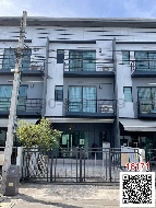 ��ǹ�����������������