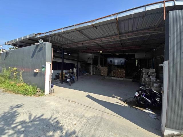 ⡴ѧ ����Ѳ��