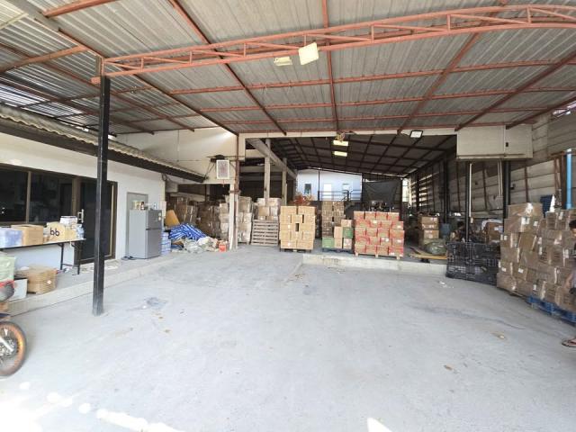 ⡴ѧ������ ����Ѳ�ҡ�ا෾