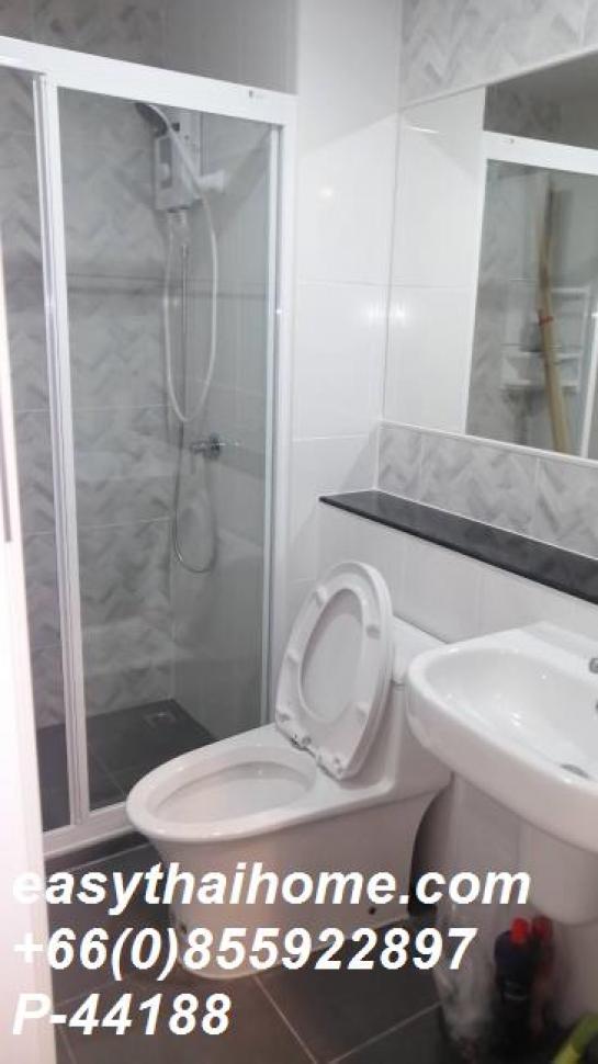 �͹������������� �ҧ�� ��ا෾