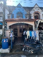 ��ǹ����������������