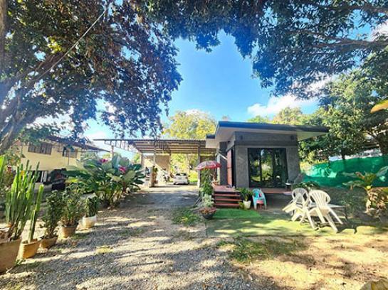 ⡴ѧ������ ���ͧ��§�����§���