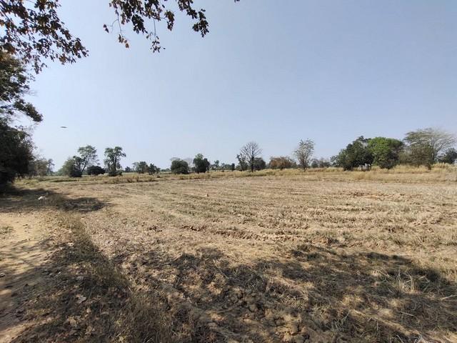 ��·��Թ �����ŧ����Ҫ����