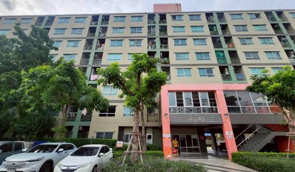 ��¤͹� ���ͧ��طû�ҡ����طû�ҡ��