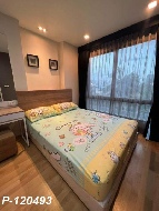 �͹�������