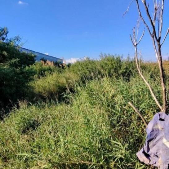 ���Թ �������