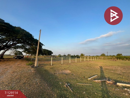 ���Թ ������