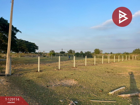 ��·��Թ �ҡ����Ҫ����