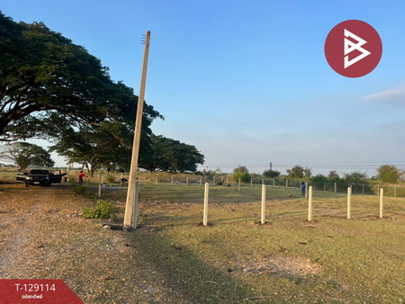 ��·��Թ �ҡ����Ҫ����