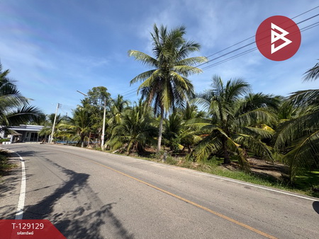 �����ط�ʧ���� �� The Best Property Agent