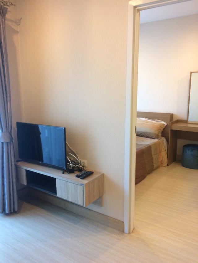 ��¤͹� ���ͧ������չ������