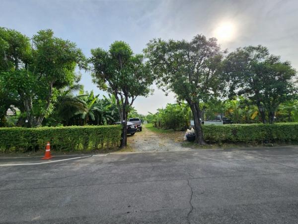 ���Թ ྪ����