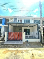 ��ǹ����������������