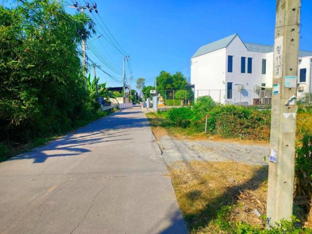 ���Թ �������