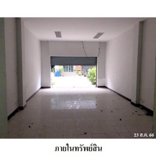 ����Ҥ�þҳԪ�� �ҧ�ع��¹