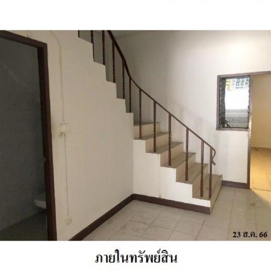 ����Ҥ�þҳԪ�� �ҧ�ع��¹