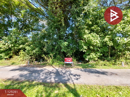 ���Թ ��鸹Ҥ��