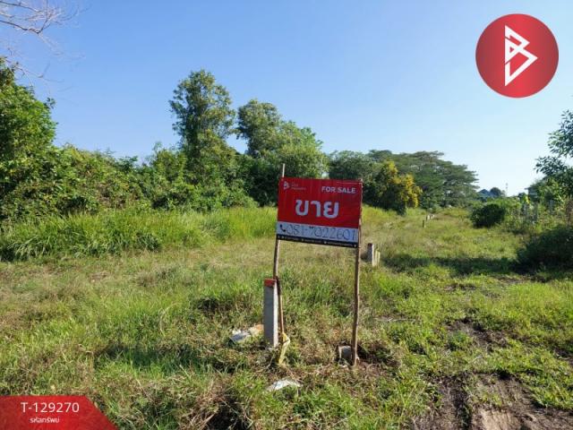 ���Թ ��鸹Ҥ��