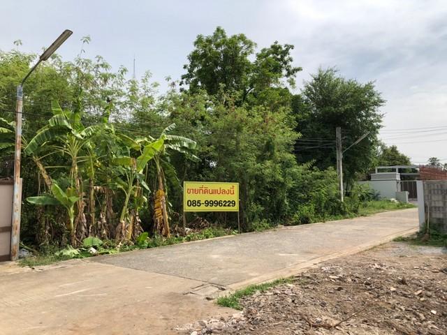 ���Թ �ŧ���