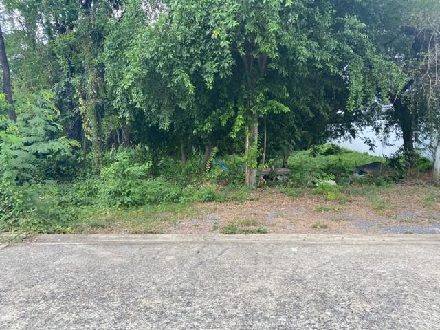 ��·��Թ ��ѡ����ا෾