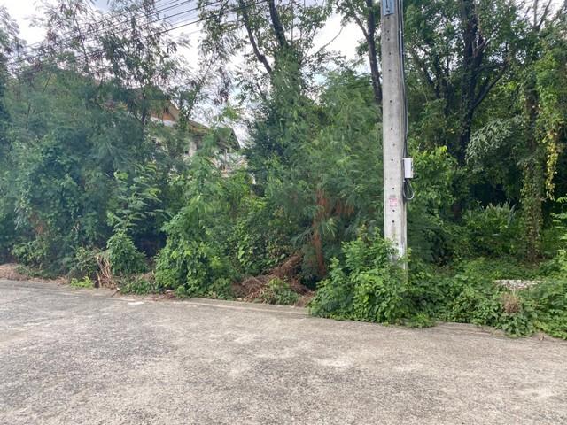 ��·��Թ ��ѡ����ا෾