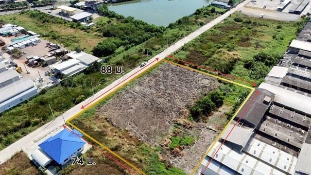 ��·��Թ �ҧ�ع��¹��ا෾