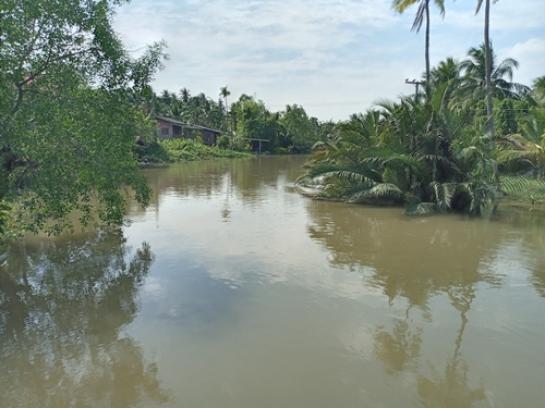 ���Թ �Դ�����