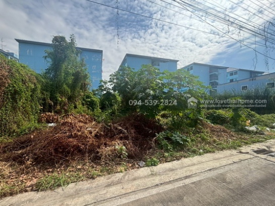 ��·��Թ �ѭ���ջ����ҹ�