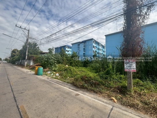 ��·��Թ �ѭ���ջ����ҹ�