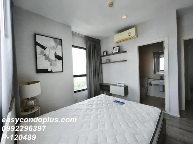 �͹������� ���ͧ��طû�ҡ����طû�ҡ��