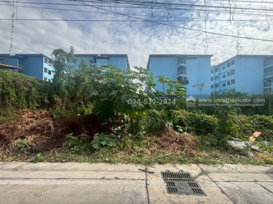 ��·��Թ �ѭ���ջ����ҹ�