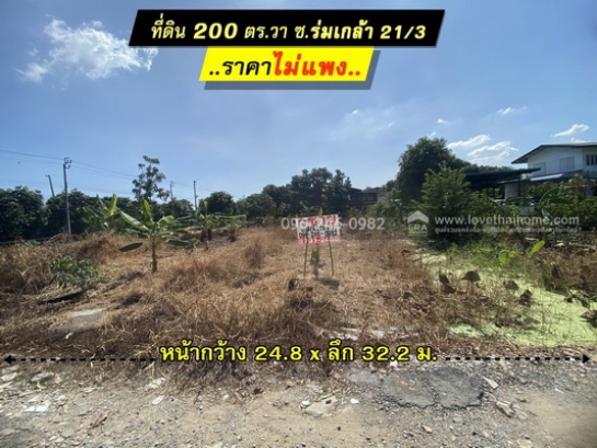 ���Թ ������