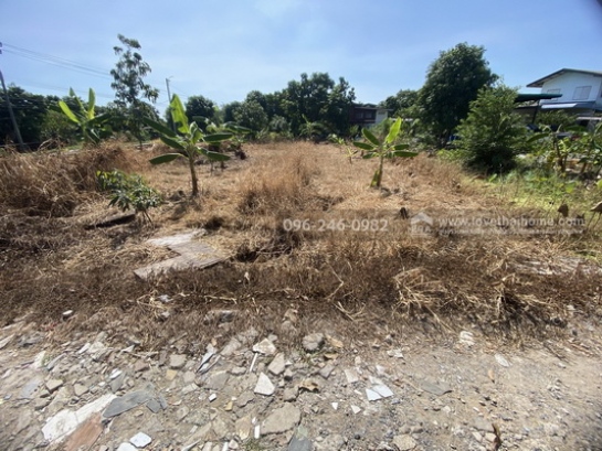 ��·��Թ �Ҵ��кѧ��ا෾