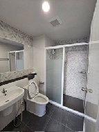 �͹� �ҧ��