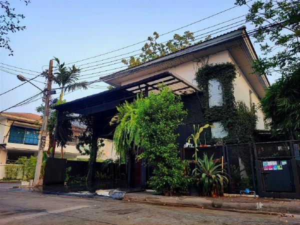 ��ҹ����� ���������