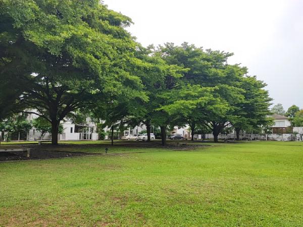 ��ҹ����������� �ҧࢹ��ا෾