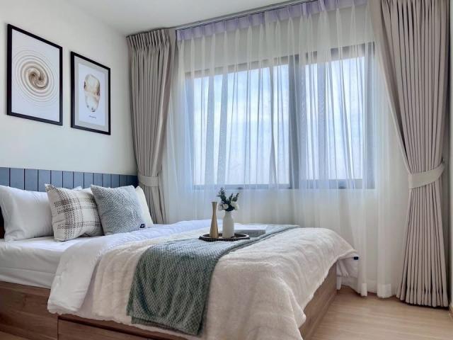 �͹������� �ѧ�ͧ��ҧ