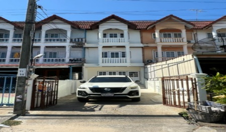 ��ǹ���������� ������