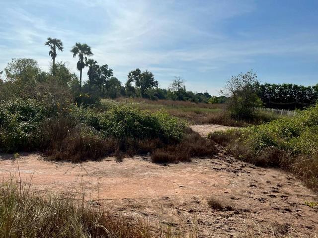 ��·��Թ �ѵ���� �������