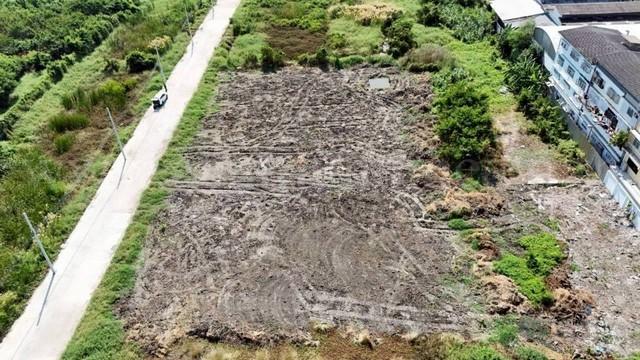 ��·��Թ �ҧ�ع��¹��ا෾