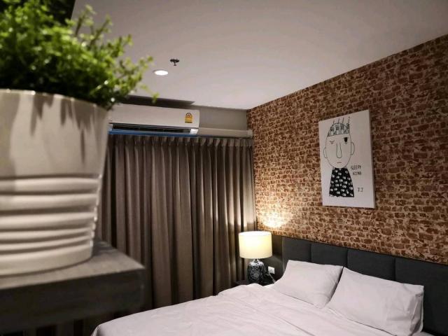 �͹������� �ҧ����