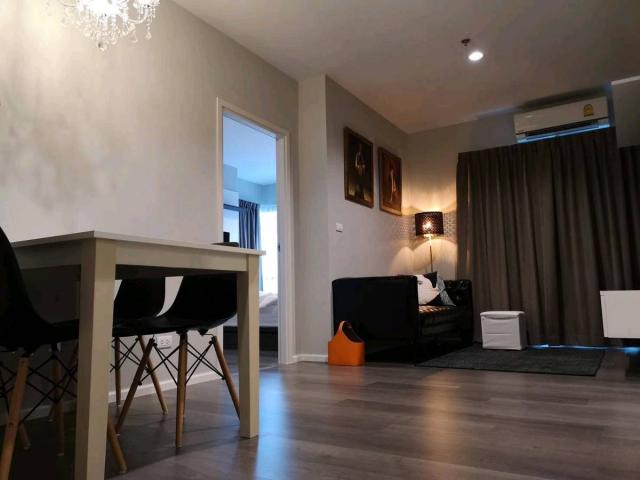 ��¤͹� �ҧ����