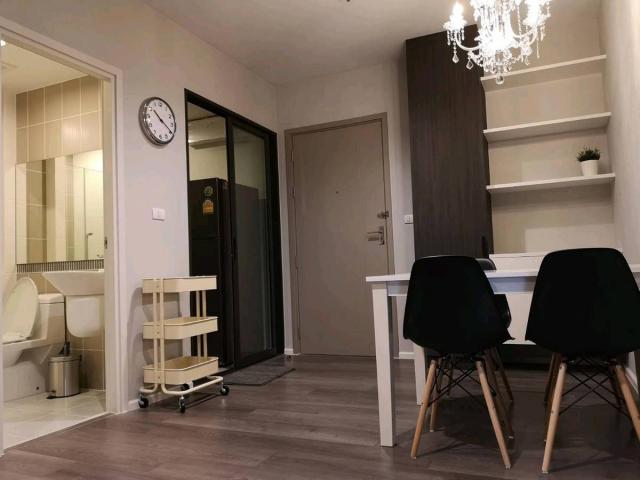 ��¤͹� �ҧ����