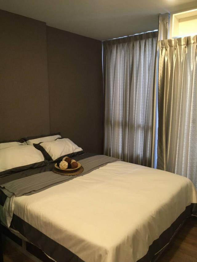 ��¤͹� �չ����