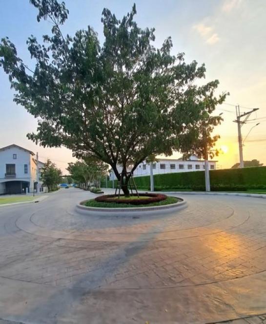 ��ǹ���������� �Ҵ��кѧ