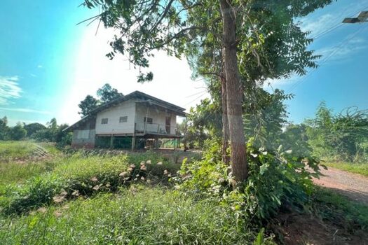 ��º�ҹ ��зͧ�� ����Ҫ����