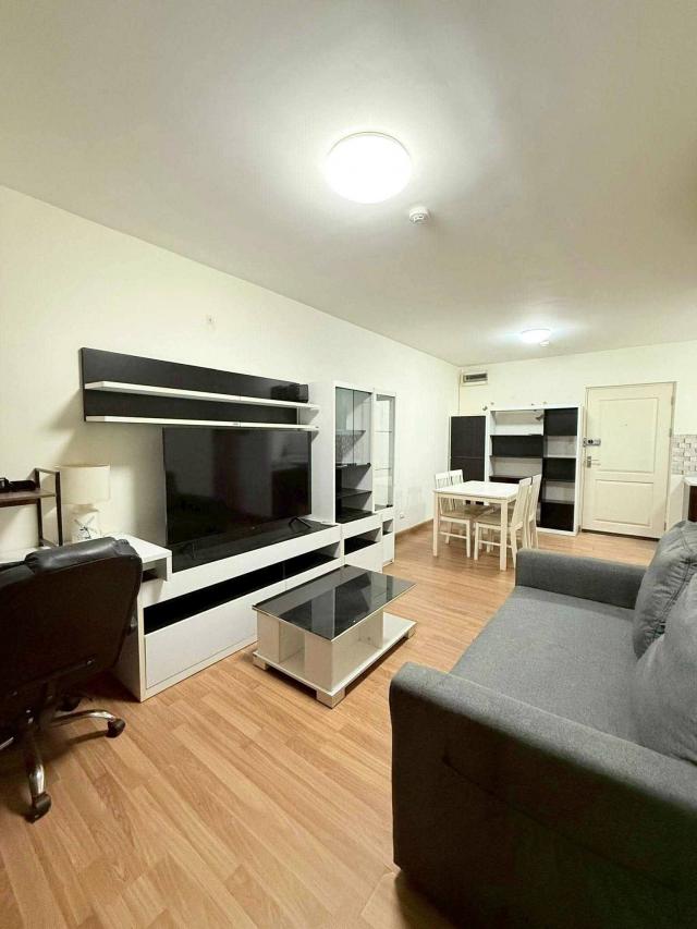 �͹������� �ҧ��