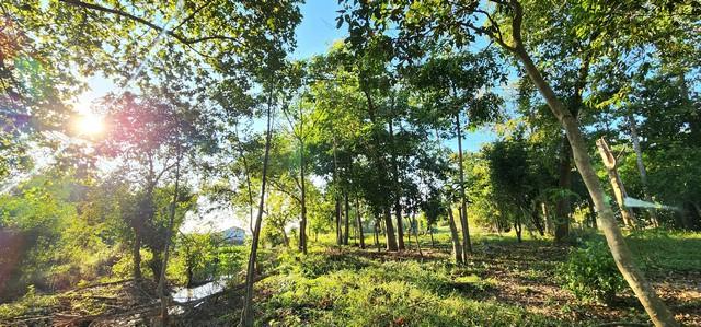 ��·��Թ ͧ��ѡ�칤ù�¡