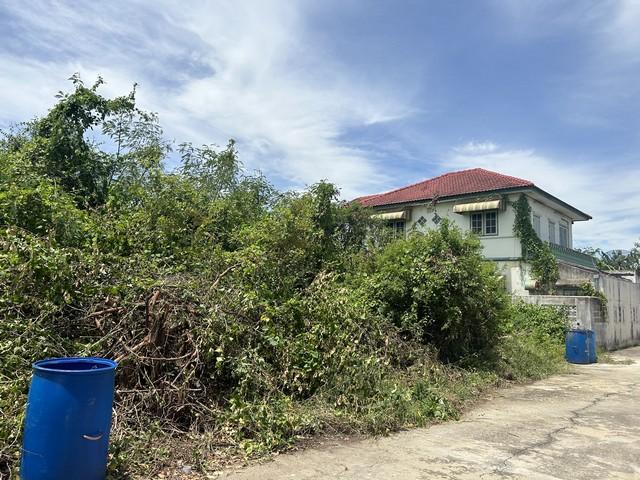 ���Թ ��û��